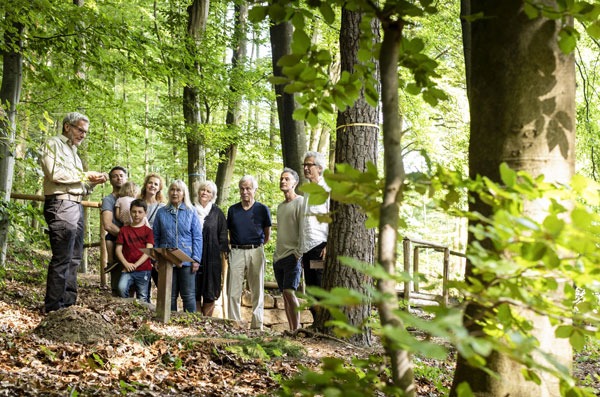 Newsify38, FriedWald Elm, Führung, Newspage, Königslutter