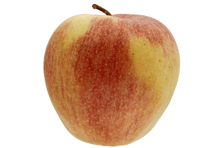 Freigestellter Elstar Apfel