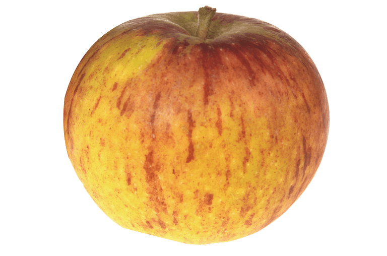 Freigestellter Cox Orange Apfel