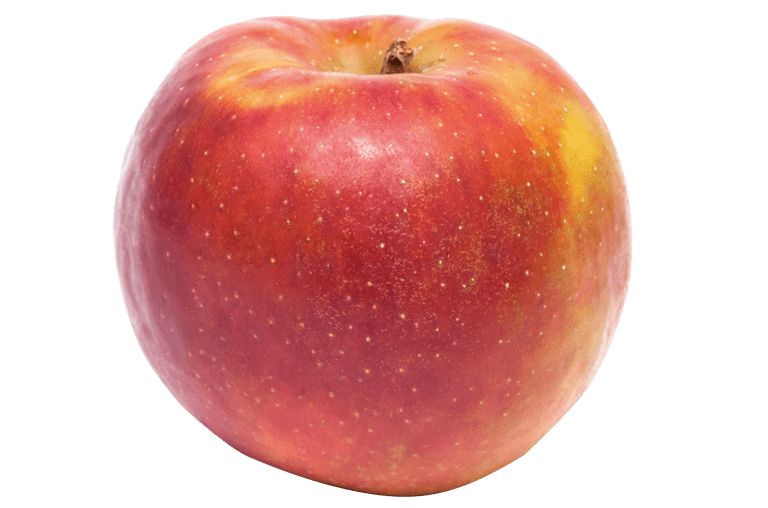 Freigestellter Boskop Apfel