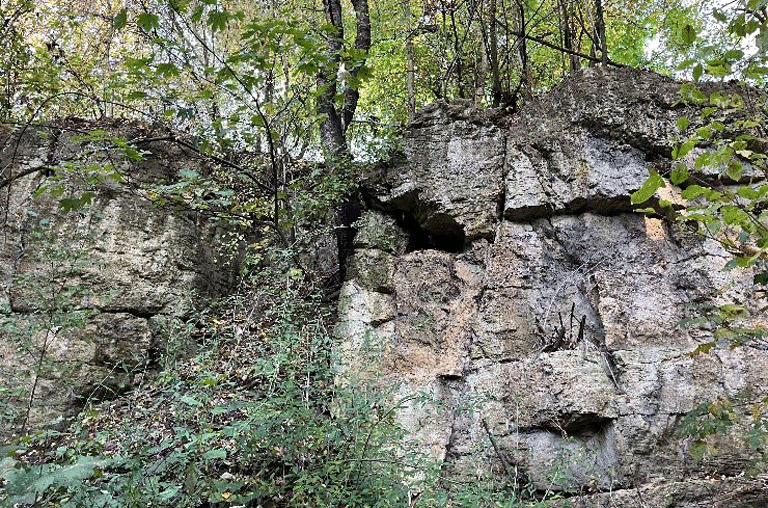 Der Landkreis Wolfenbüttel pflegt in den kommenden Wochen den Steinbruch in Erkenrode. Dort soll ein vielfältiges Biotop entstehen.